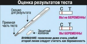 Тест на беременность